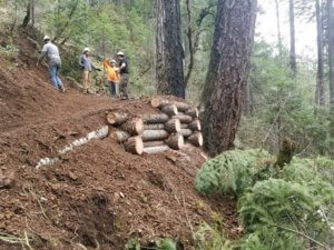 Crib build trailwork Halls Ranch Trail