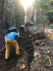 Workers digging trail