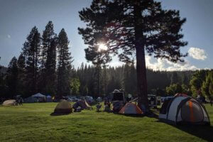 Camping on the grass at Plumas Sierra County Fairgrounds