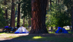 Taylorsville Campground on the edge of town and next to the scenic, fish and swim-worthy Indian Creek