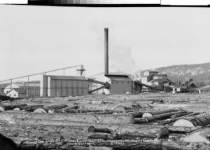 Historical photo of Collins Pine Company 1945
