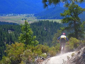 Mountain biker riding into town