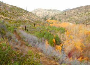 SBTS working on the Boca Loyalton Trail