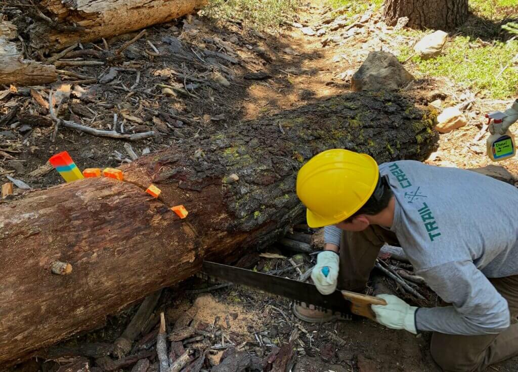 Youth Trail Crew sawing