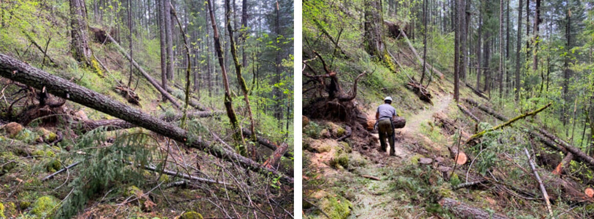 North Yuba Log out