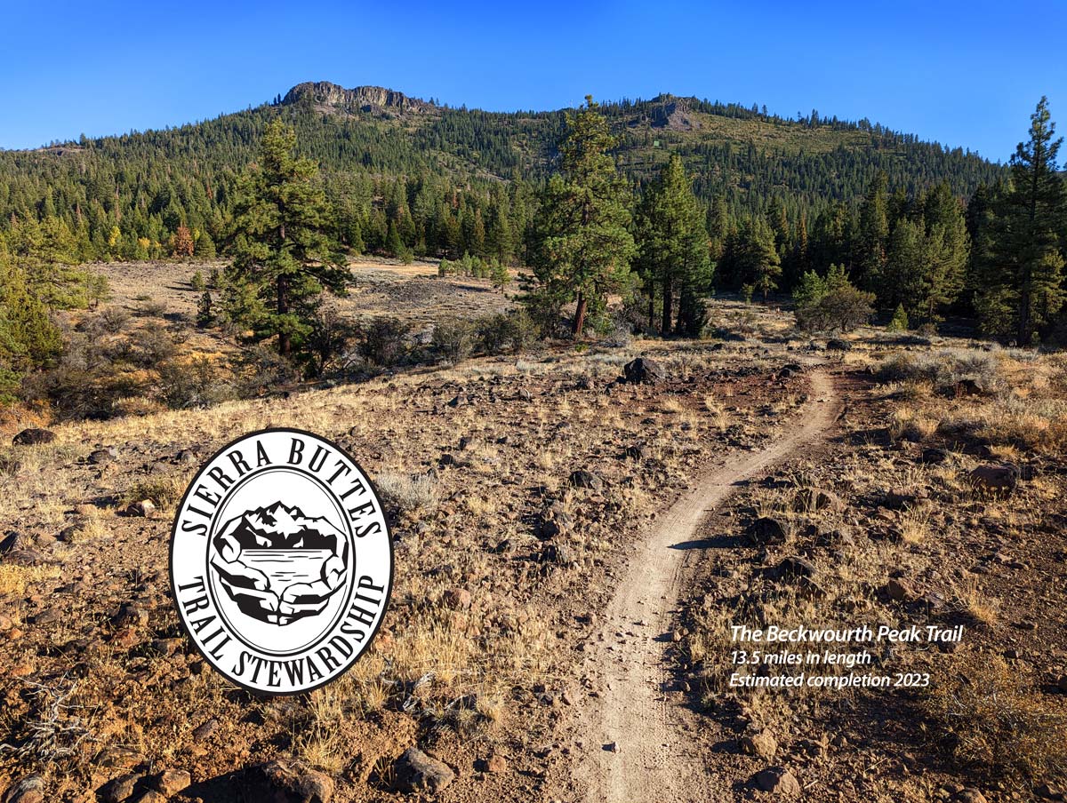 The Beckwourth Peak Trail