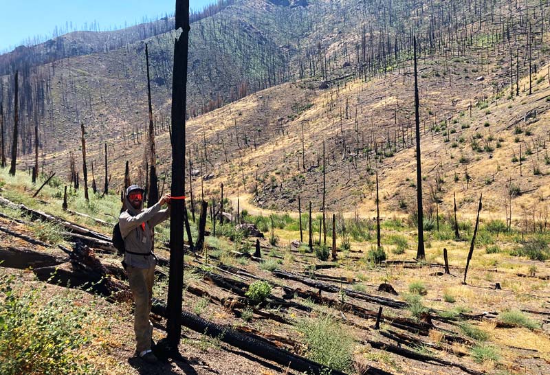 Indian Valley Rim Trail ground truthing