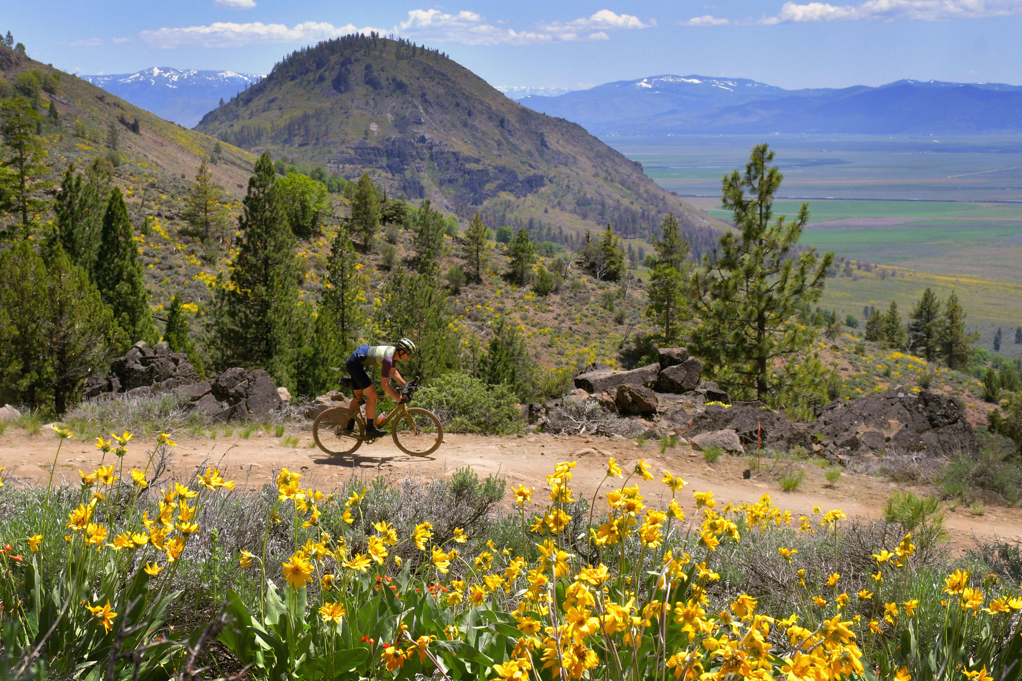 Lost and Found rider amongst flowers and mountains