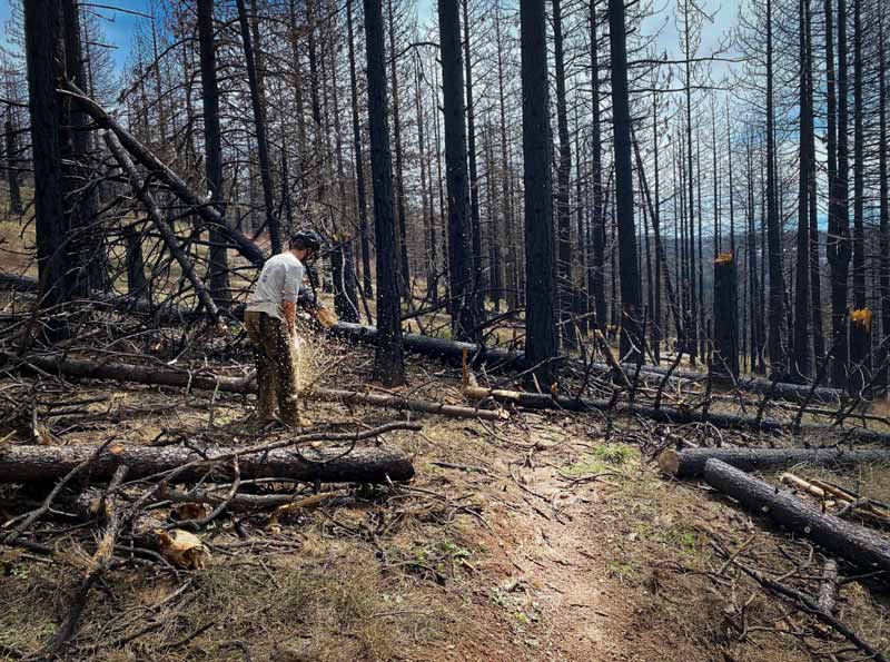 Indian Falls Ridge Trail being cleared of dead tree fall