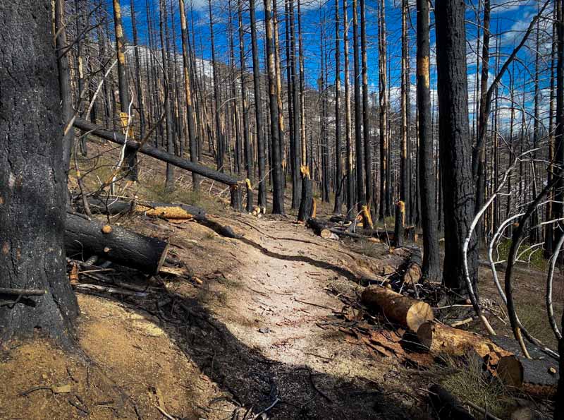 Indian Falls Ridge Trail cleared of dead tree fall