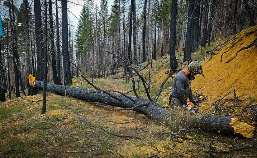 Polaris Off-Road Vehicle Trails Grant to Support SBTS’ Post-Dixie Fire Maintenance On Mt. Hough