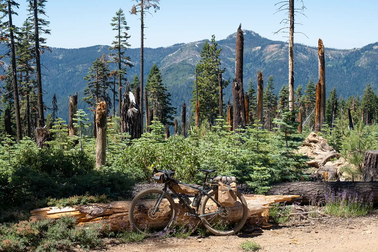 Bikepacking the Sierra Buttes